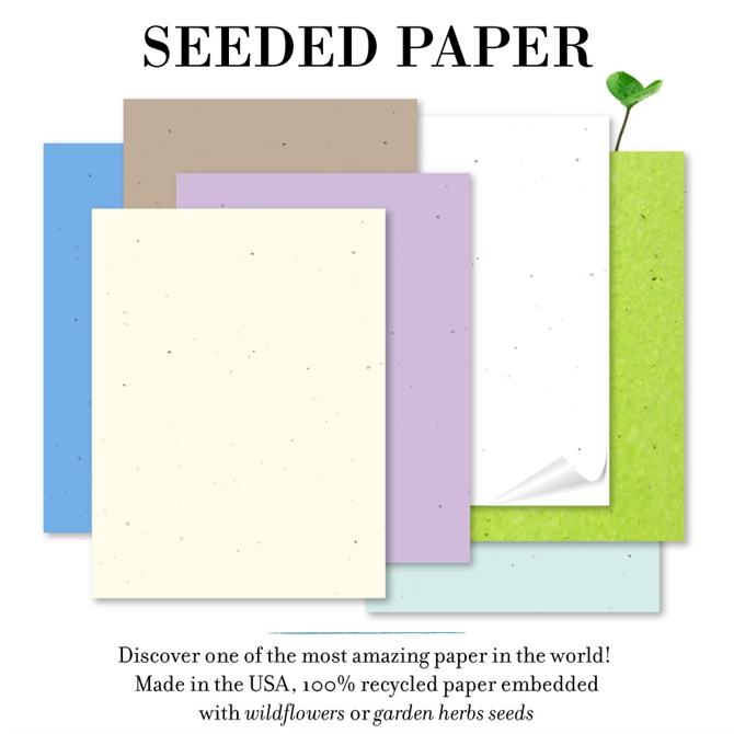 Plantable Seed Paper - Buttermilk Wildflower