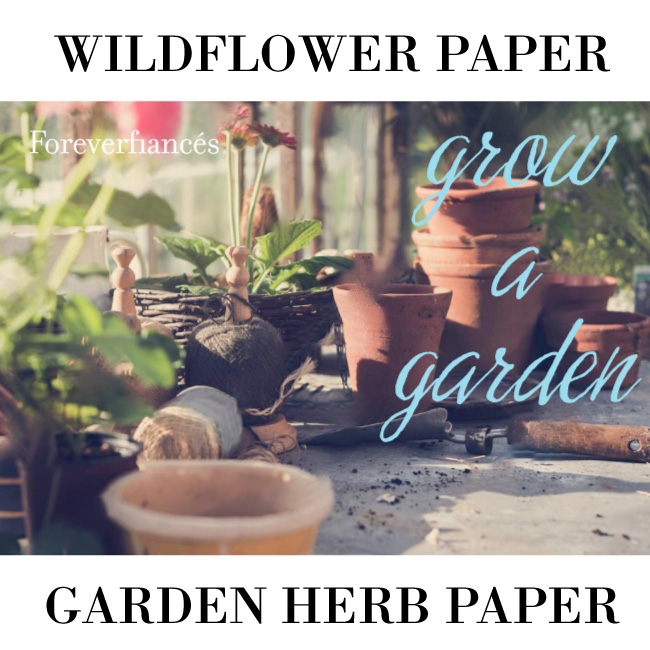 Plantable Seed Paper - Buttermilk Wildflower – plantableseedpaper