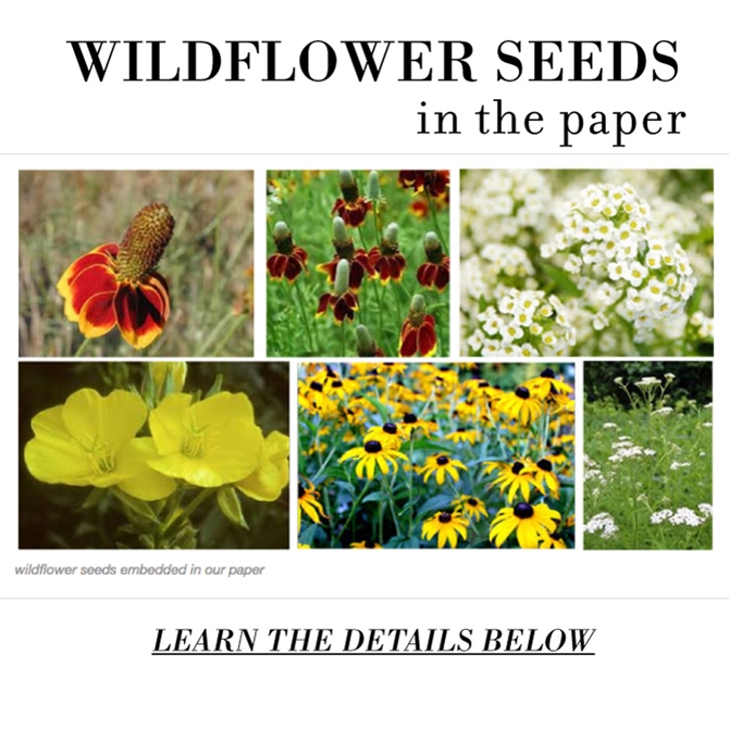 10 x A5 Plantable Seed Paper/Card - Print at Home Craft Paper  with Wildflower Seed Mix… : Office Products