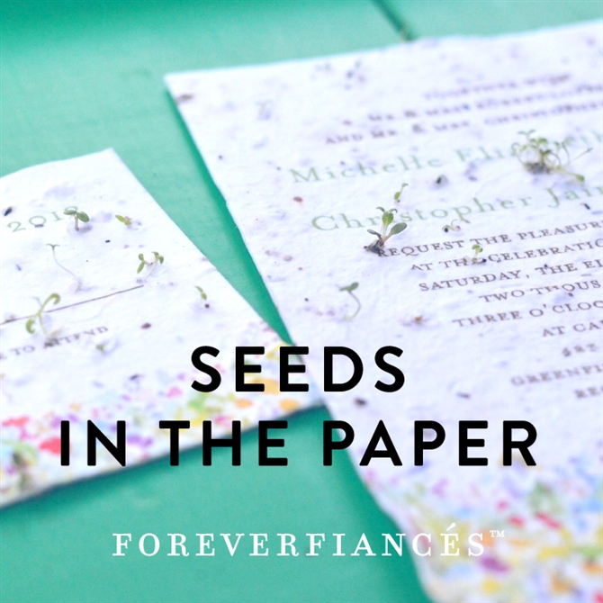Leaf Plantable Seed Paper Favor