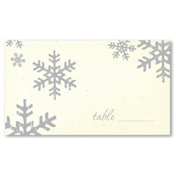 Winter Place Cards - Snow Fall (seeded paper)