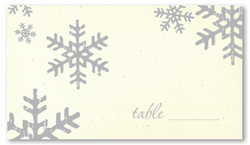 Winter Place Cards - Snow Fall (seeded paper)