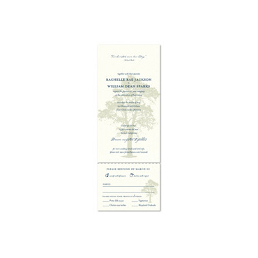 Solid Oak (premium recycled)