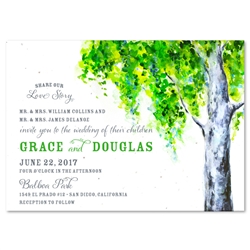 Birch Tree Wedding Invitation on plantable paper ~ Summer Birch Tree by ForeverFiances Weddings