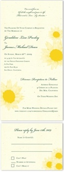 Natural Wedding Invitations ~ Sunflower/Tournesol