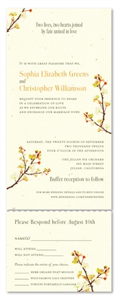 Spring Wedding Invitations - blossoms branchings