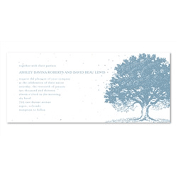 Winter Wedding Invitations - Upstate NY (seeded)