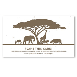 Animal Place Cards | Wild Zoo (plantable)