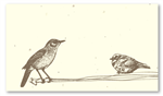 Seed Paper Place Cards - Wired Bird