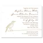Birds theme Wedding Invitations on seeded paper by ForeverFiances