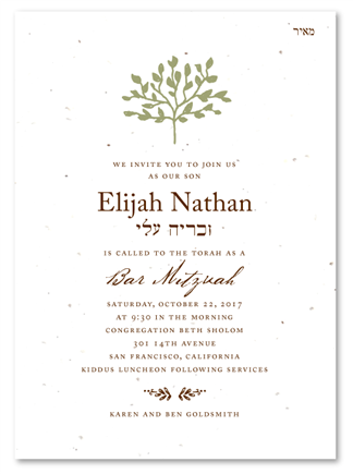 Bar Mitzvah Invitations Beth Shalom (seeded paper)