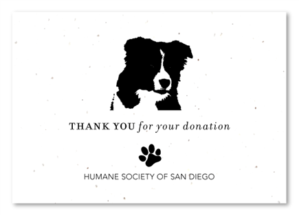 Unique Donation Cards ~ Thank you {Border Collie} by Green Business Print