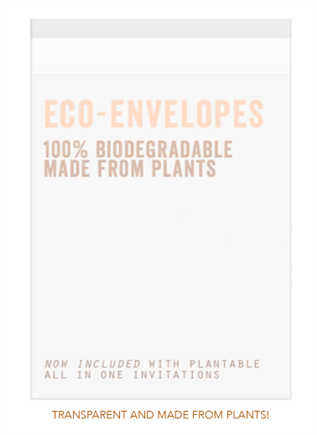 Clear Eco-Envelopes