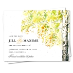 Fall Birch Tree wedding Save the Date Cards with orange and yellow tones