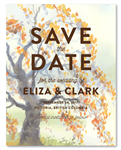 Fall Tree Wedding Save the Date | Fall Oak
