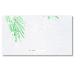 Morning Frost Winter Reception Cards