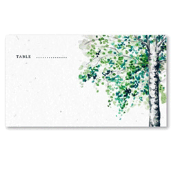 Birch September Tree Wedding Place Cards