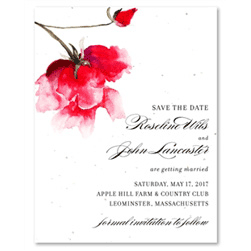 Rose Save the Date Cards | Valentino Rose