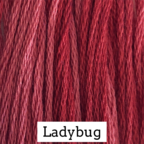 LADY BUG