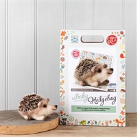 Baby Hedgehog Needle Felting Kit - Crafty Kit Company