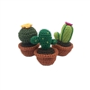Cactus Amigurumi DIY Kit (Knit and Crochet)