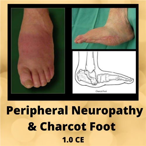 photo of peripheral neuropathy and charcot foot course.