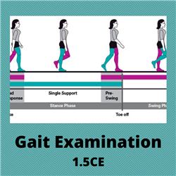 Gait Examination - 1.5CE - $37.50