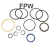 NEW CASE SEAL KIT 79975C2
