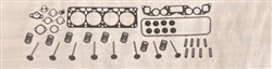 NEW NISSAN FORKLIFT VALVE GRIND ENGINE KIT H20