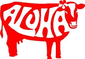 Aloha Cow