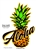 Aloha Pineapple Brown