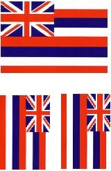 Hawaii Flag Tattoo