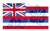 Hawaii Floral Flag