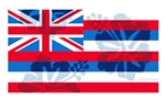 Hawaii Floral Flag