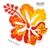 Original Hibiscus Orange & Yellow