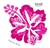 Original Hibiscus Pinks