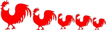Rooster Ohana