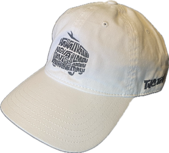 Embroidered Super Bus Hat