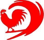 Surfing Rooster