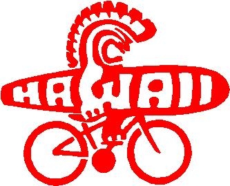 Tiki Bike Hawaii