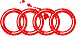 Auto Audi Chain