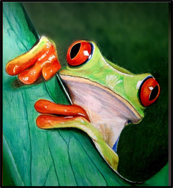 Feb 18 (rescheduled from Nov 19) - The Little Frog by Elisabetta De Maria CDA