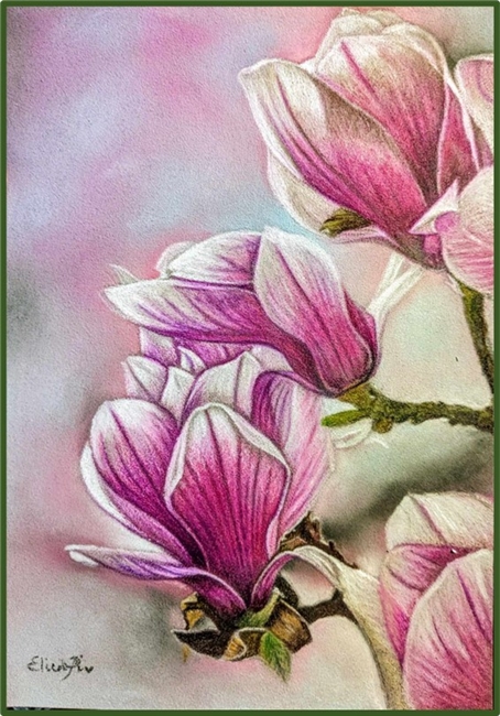 VIDEO from April 14, 2024 - The Magnolia by Elisabetta De Maria CDA (Epacket, class video & Enhanced Chat Notes)