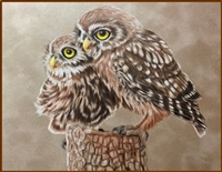 May 3  - Burrowing Owls by Debbie Cushing / Pocono Decorative Painters