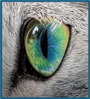 VIDEO from Jan 5, 2025 - The Cat's Eye by Elisabetta De Maria CDA (Epacket, class video & Enhanced Chat Notes)