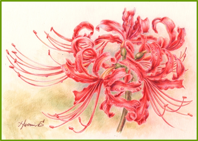 May 18  (Saturday 10 AM to 2 PM, ET) - Spider Lily by Naomi Shimanuki MDA/DACA