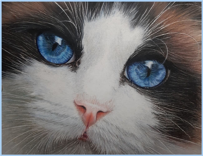 May 19  (Sunday 10 AM to 2 PM, ET) - The Cat's Blue Eyes by Elisabetta De Maria CDA