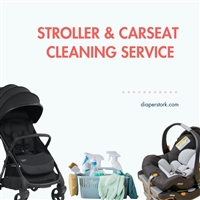 Stroller and Car Seat Cleaning
