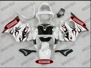 Kawasaki ZX6R White Flamed Fairings