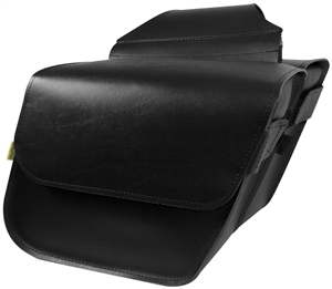 Raptor Compact Slant Saddlebags